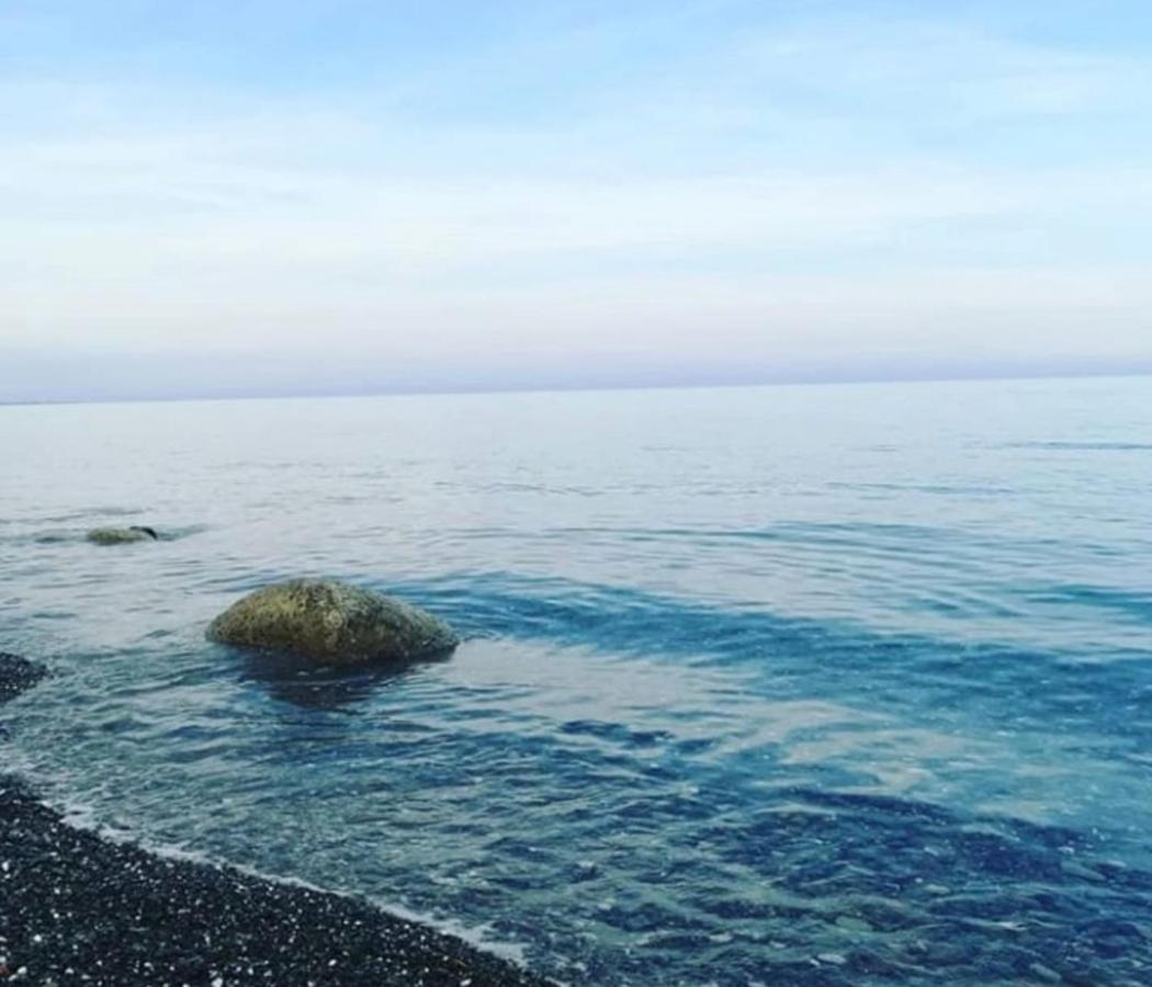 La Casa Al Mare Corallo Verde モンテジョルダーノ エクステリア 写真