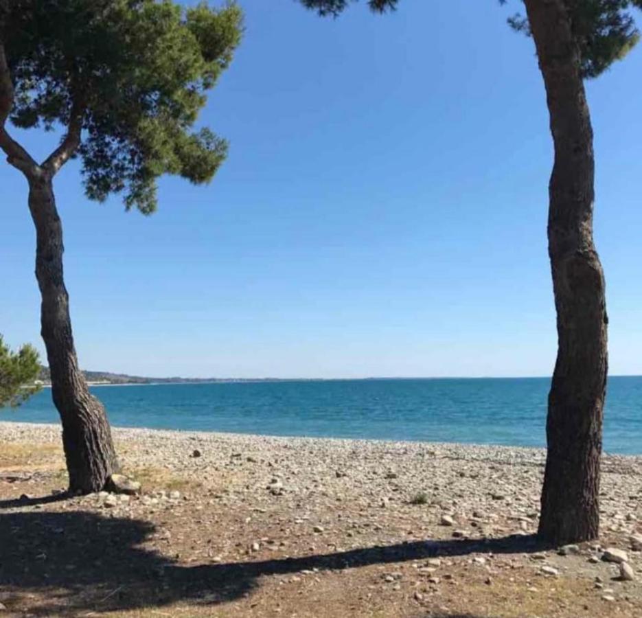La Casa Al Mare Corallo Verde モンテジョルダーノ エクステリア 写真